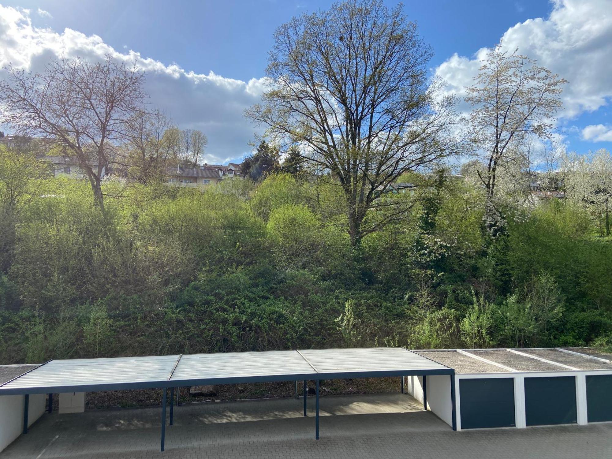 Ferienwohnung Am Erbacher Muemlingufer エアバッハ エクステリア 写真
